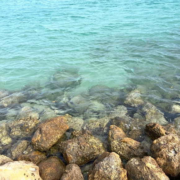 Meet your Posher, Kathy - Picture 1 of 1